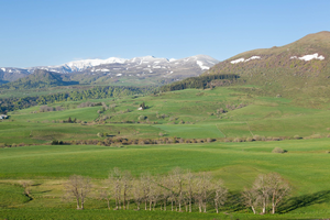 Vidange fosse septique Cournon-d'Auvergne
